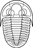 Proetida