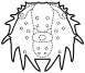 protaspis